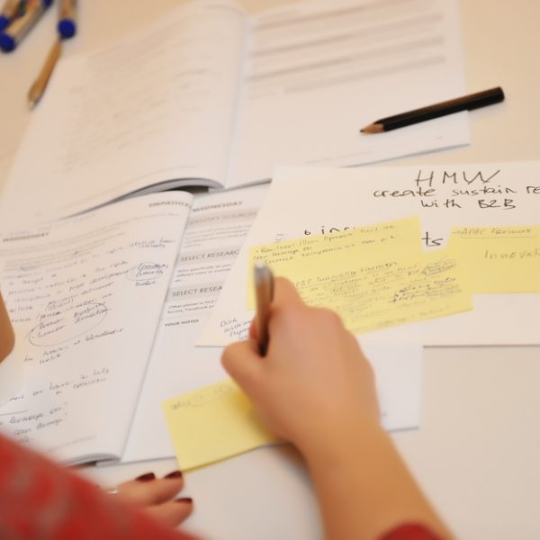 2017 IE International Development APAC Regional Meeting