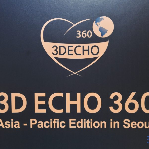 3D ECHO 360°